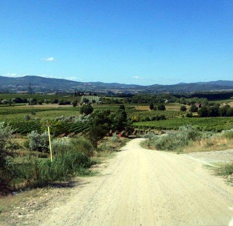 Agriturismo Relais Poggio Primo Borro Kültér fotó