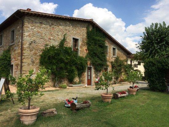 Agriturismo Relais Poggio Primo Borro Kültér fotó